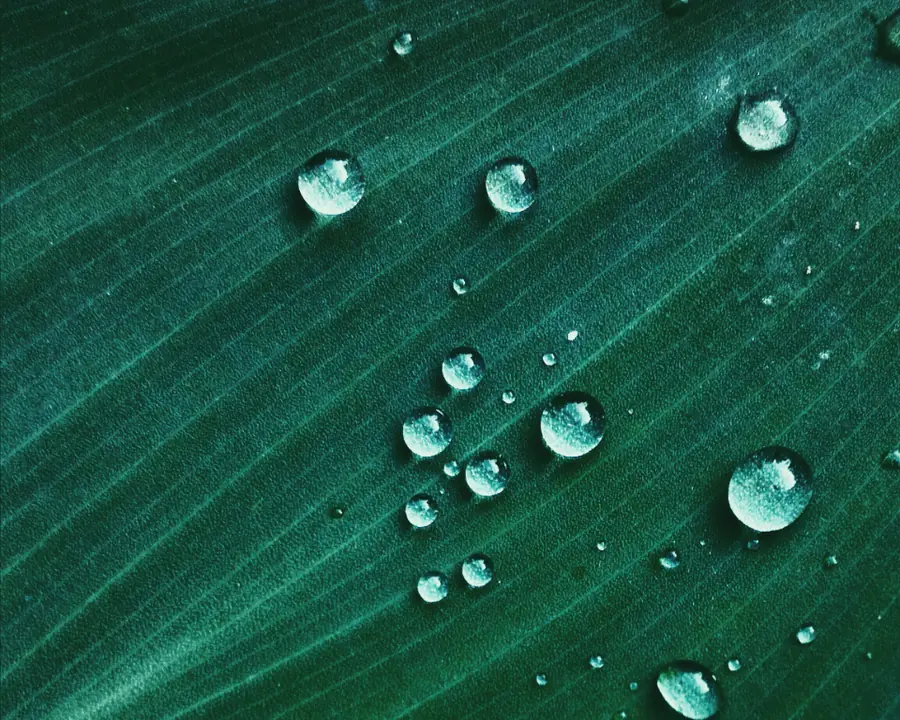 Emerald mood: curious