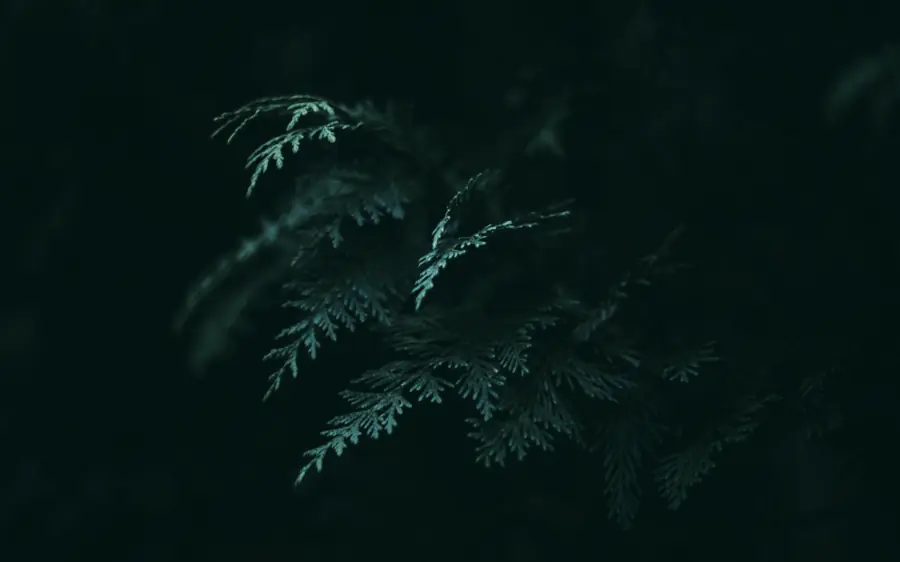 Emerald mood: thorough