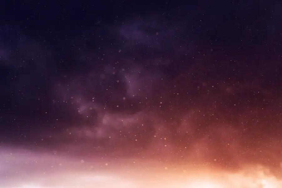 Violet texture and color